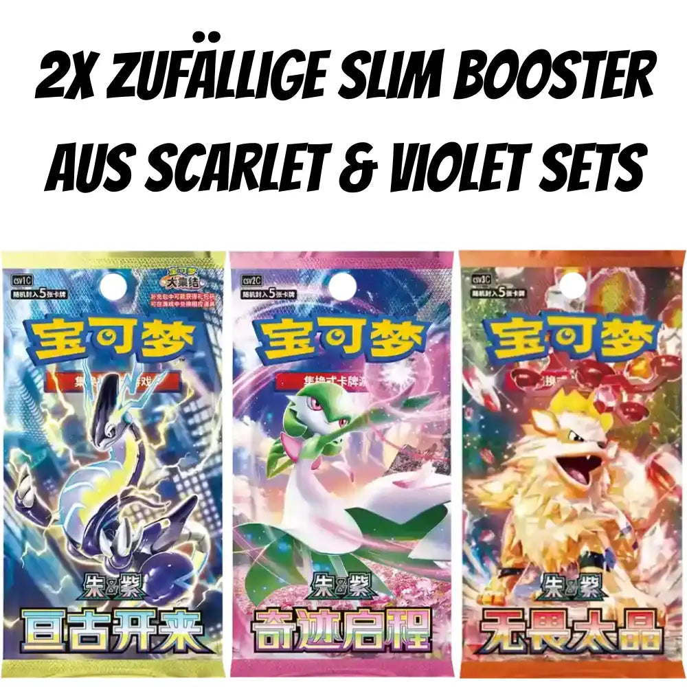 Pokemon Journey Battle Accessories Gift Box (CHN) CardsRfun