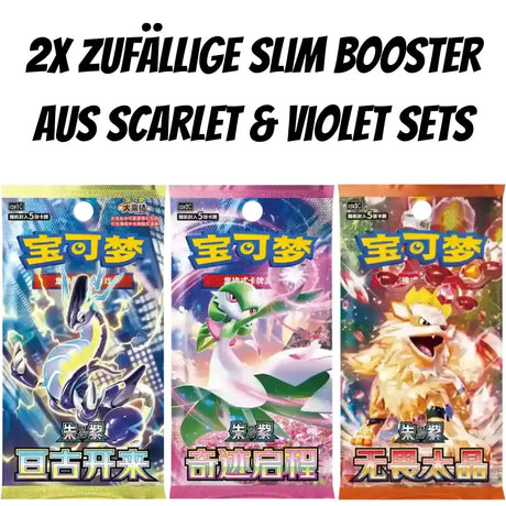 Pokemon Journey Battle Accessories Gift Box (CHN) CardsRfun